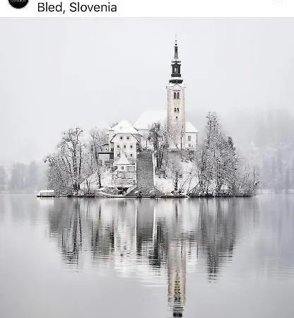 Status Apartman Bled