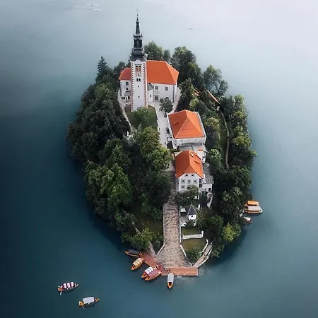 Lejlighed Status Bled