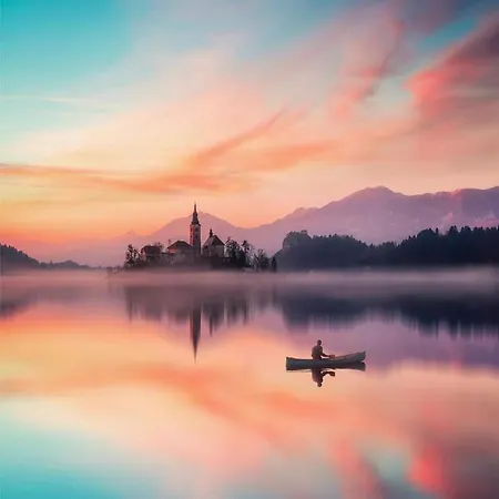 Lejlighed Status Bled