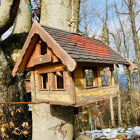 Status Apartman